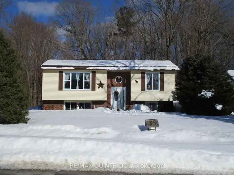 Buy Raised Bungalow in Marmora with Great Features and Amenities