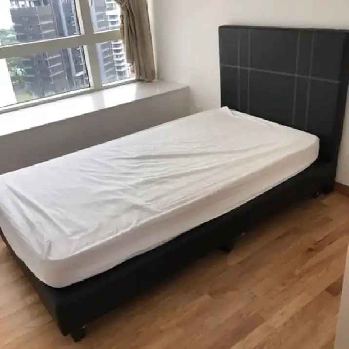 Budget-Friendly Downtown Room for Rent