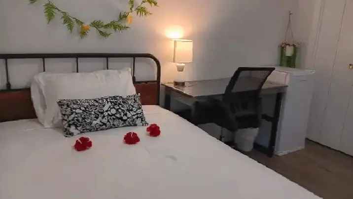 Short Term Furnished Room Rental for Male Tenant