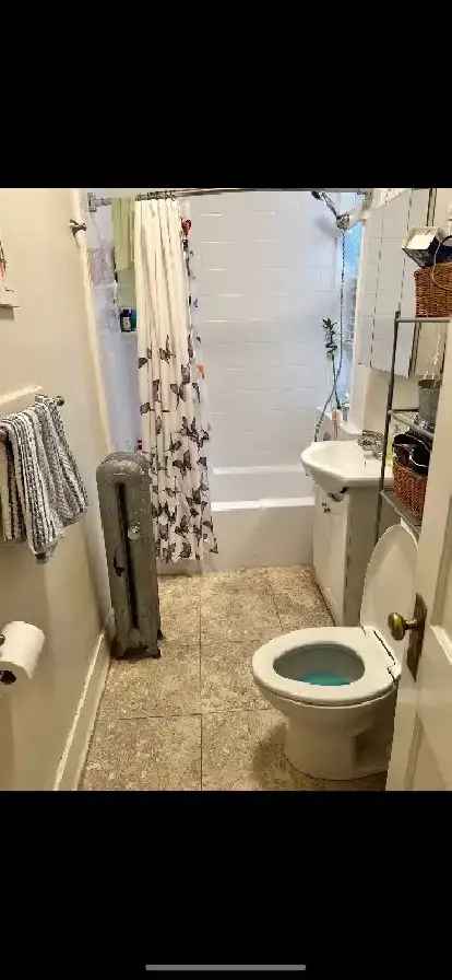 2 bed - 1 bath apartment for sublet - Osborne/Corydon village