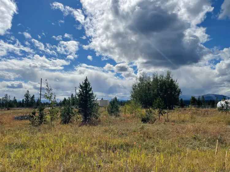 Lake View Commercial Lot in Prime Location - Nimpo Lake, BC