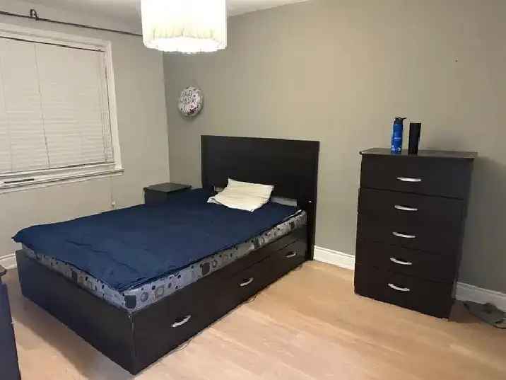 Furnished 3 Bedroom House for Rent in Scarborough Near TTC