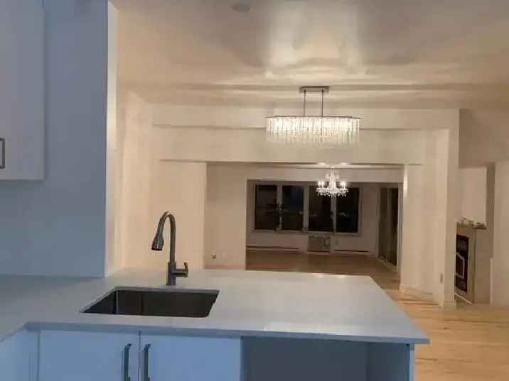 3 1 bedroom townhouse for rent, downtown montreal