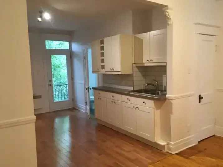 Plateau Mont Royal Renovated 4 1/2 Apartment