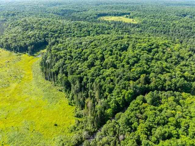 42 Acres Muskoka Lakes Privacy Year Round Road VTB Potential