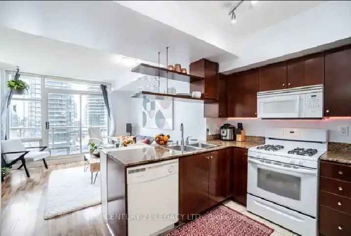 Rent One Bed One Bath Condo in Downtown Toronto with Great Amenities