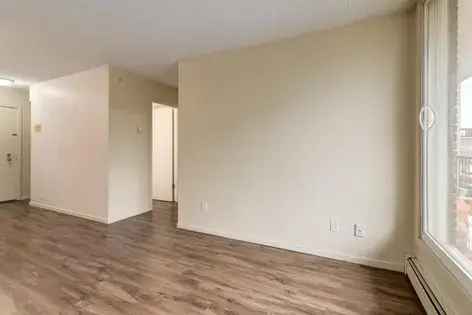 1 room apartment of 46 m² in Calgary