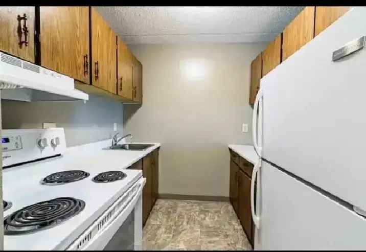 1 bed 1 bath apartment in St. James