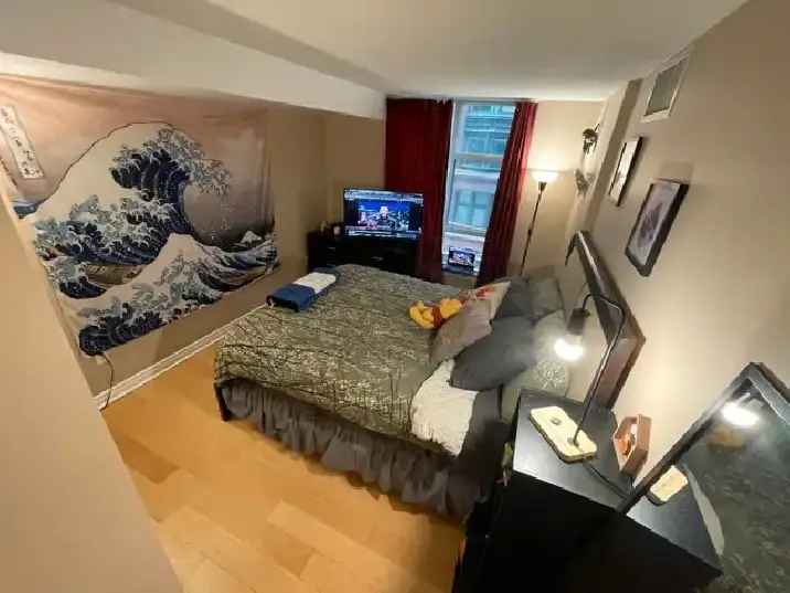 Feb 1-Jul 1 Sublet - 1 Bedroom Condo - Downtown Toronto