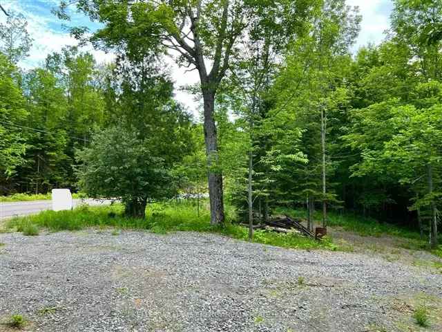 50-Acre Forested Lot with Beaver Pond and Creek - Ideal for Nature Lovers and Entrepreneurs