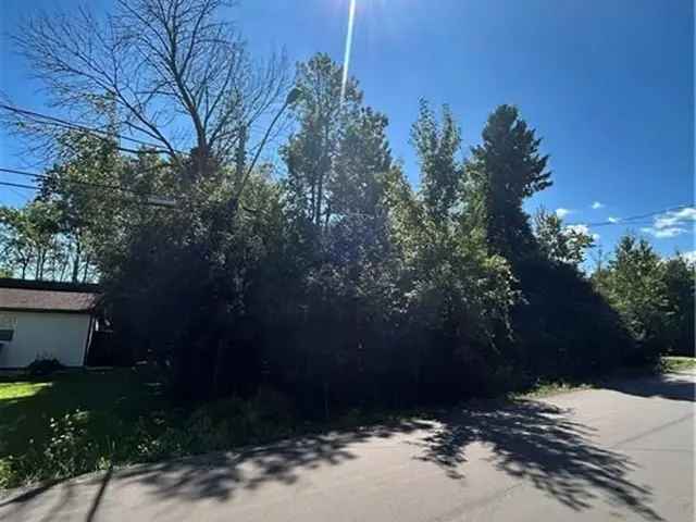 Wooded Lot in Collingwood for Dream Home