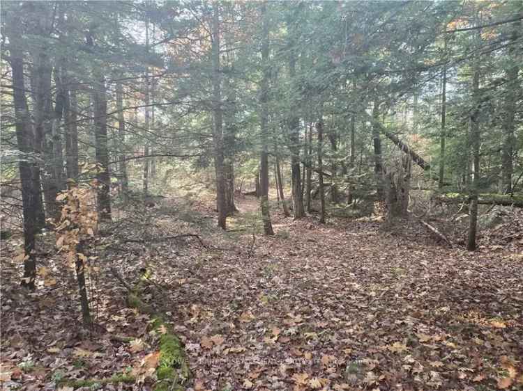 Land For Sale in South Frontenac, Ontario