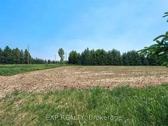 13 Acres Farmland for Sale Near Arthur and Fergus