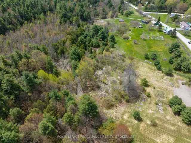 Temperance Lake Lots: 3.1 Acres, Private Setting, Septic