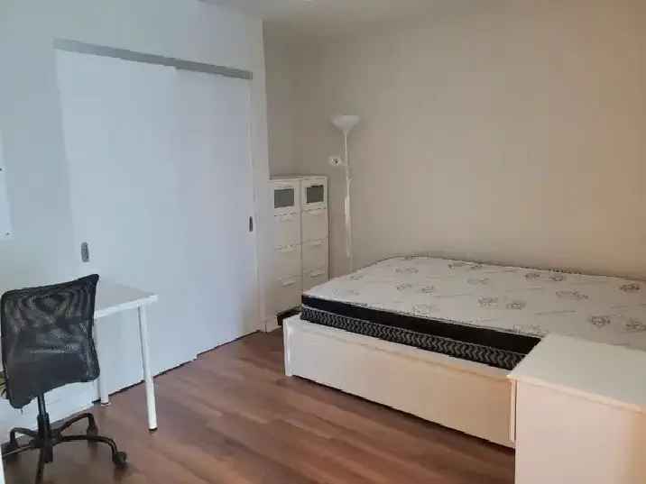 Furnished Downtown Toronto 1 Bedroom Condo