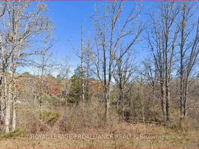 Build Your Dream Home on this Level Corner Lot with Waterfront Access