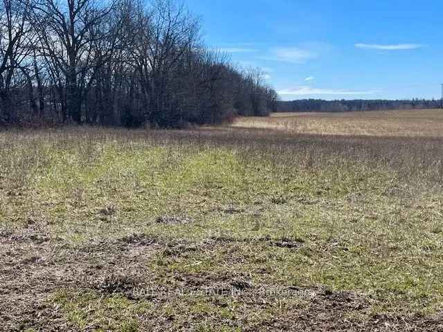 1.97 Acre Buildable Lot Near Hastings