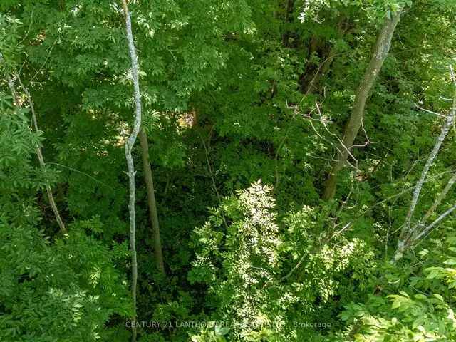 2.5-Acre Wooded Lot - Quiet Road - Near Tweed