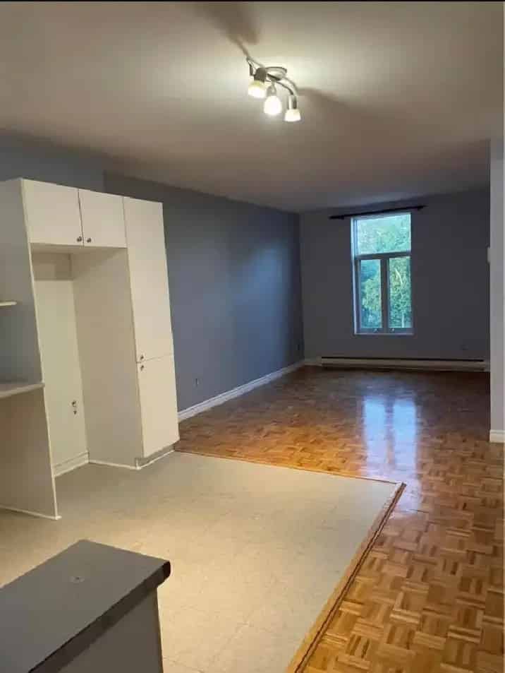 Large 5 1/2 Apartment Near Jolicoeur Metro