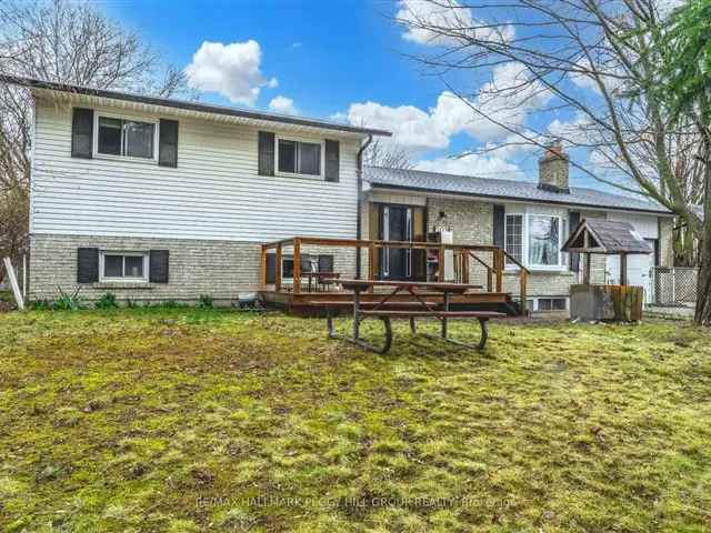 House For Sale in 203, Phillips Street, Barrie, Ontario