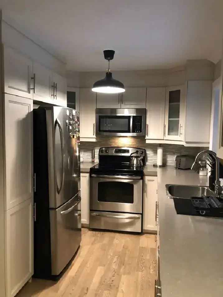 3 1/2 Fully renovated condo