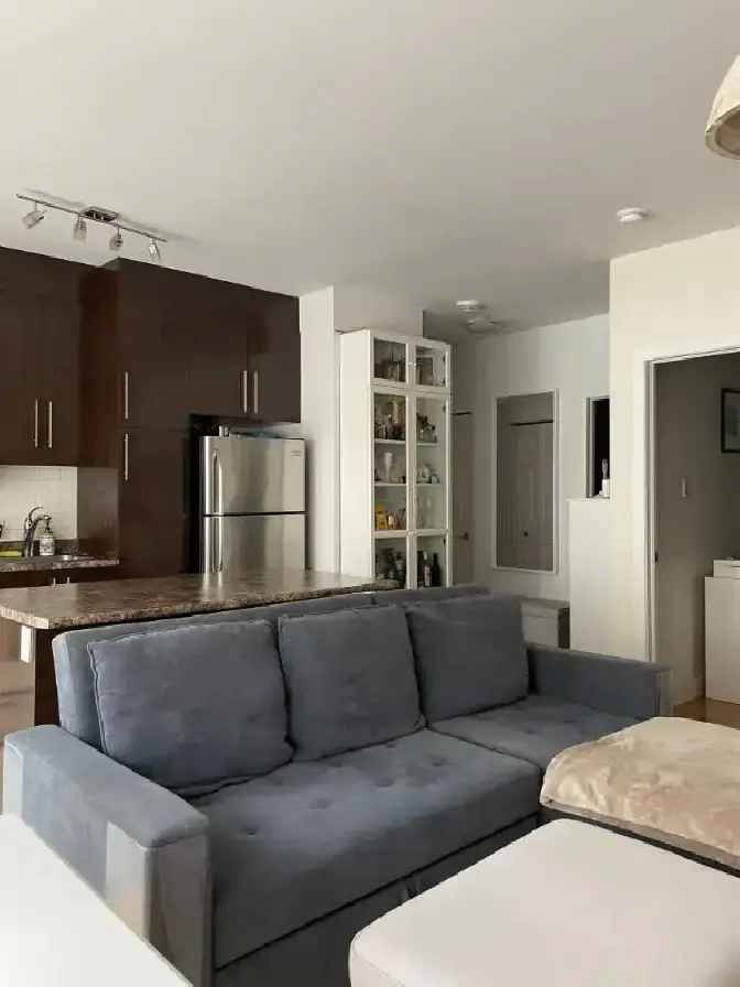 Furnished 1 bed 1 bath (3 1/2) condo for rent