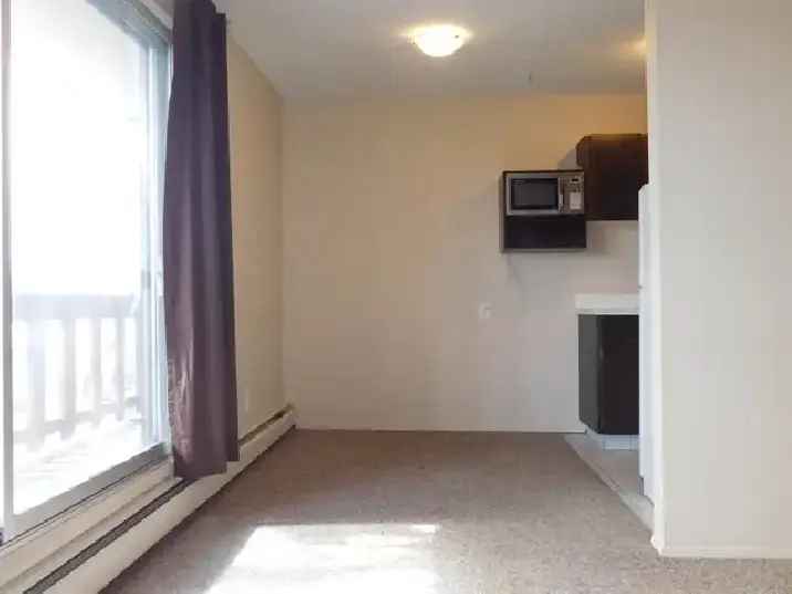 1 Bedroom Apartment Crescent Heights Downtown View