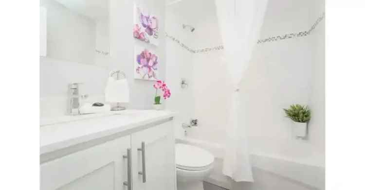 2 Bedroom Suites for Rent in Hamilton - 52 Hayden Street