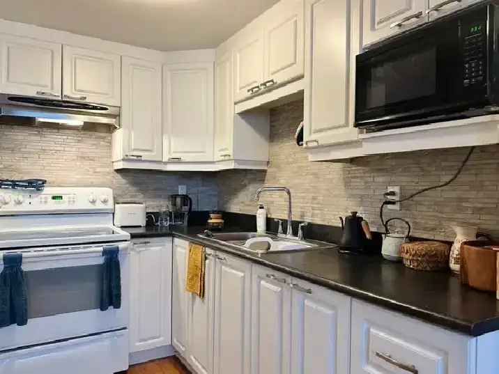 Rosemont Petite Patrie Apartment - Renovated 3 1/2