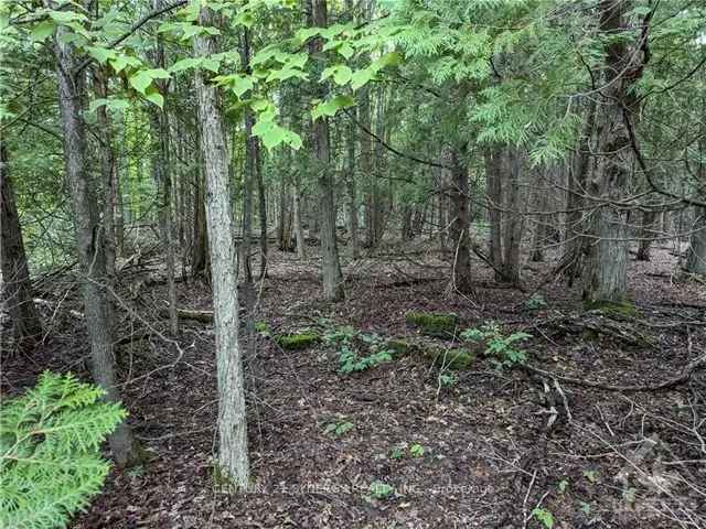 12+ Acres Frankville Private Paradise Build Your Dream Home Hunting Retreat