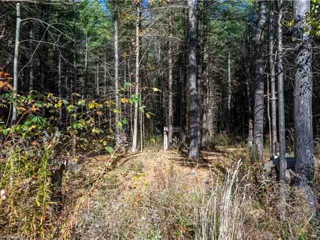 Land For Sale in Chatsworth, Ontario