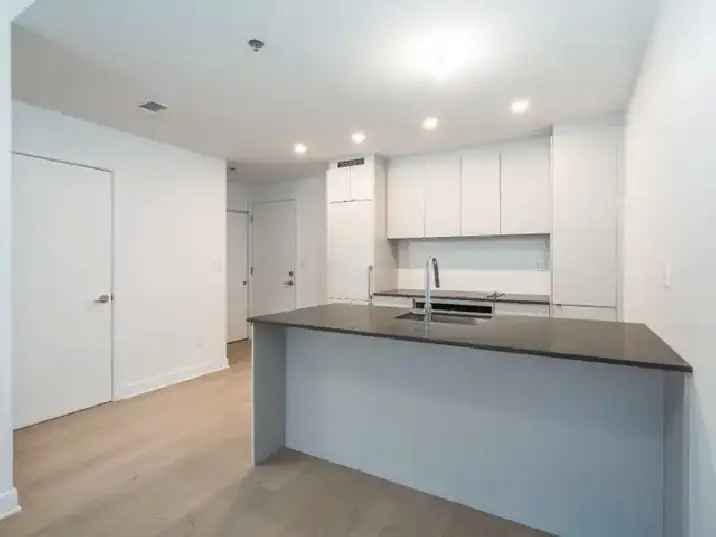 Brand New 3 1/2 Unit in Downtown Montreal