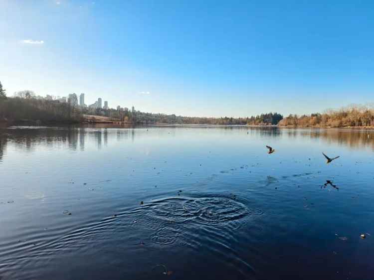 Deer Lake Development Opportunity Huge Lot Multi Unit Potential