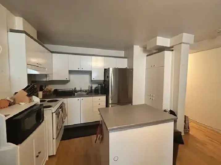 Appartement 4 ½ à louer dans le Mile-End - 1876$