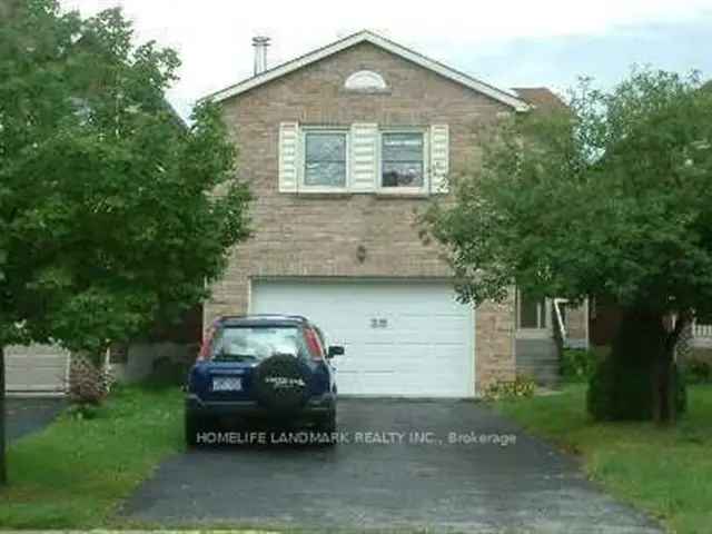 4 Bedroom 3 Bathroom House For Lease Near TTC Schools and Parks