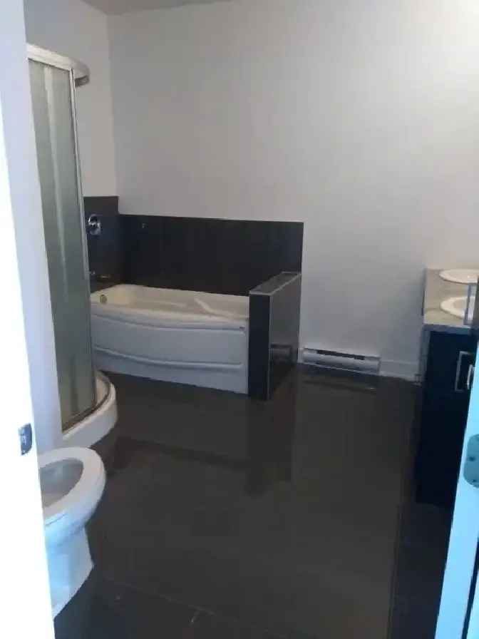 3 1/2 Apartment Rosmont St Michel AC Balcony Internet Included