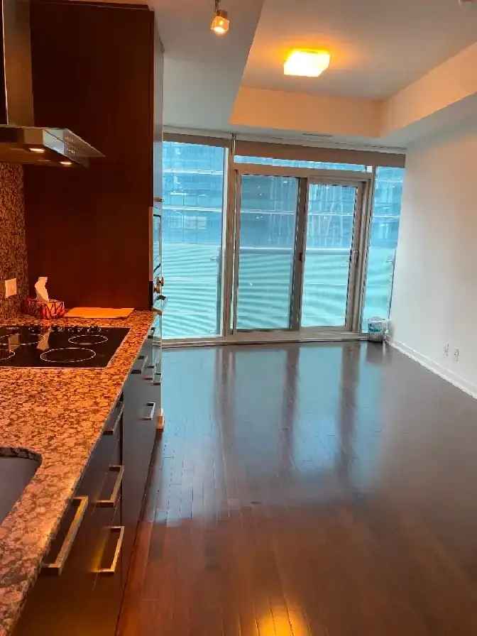 Luxury Studio   In Heart of Downtown For Rent