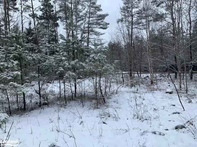 2+ Acre Lot near Huntsville - Quiet Country Setting