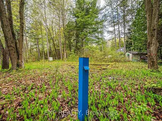 Land For Sale in Georgina, Ontario