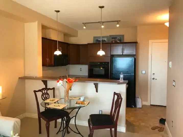 Executive 1 bedroom apartment suite across University of Calgary