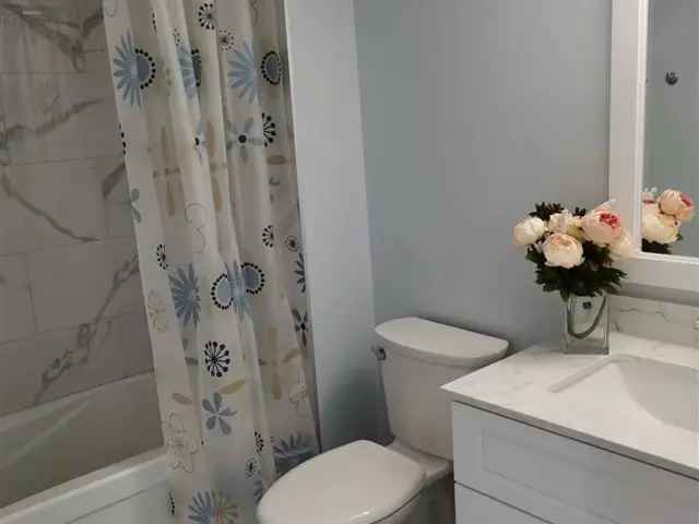 Beautiful Renovated 2 Bedroom Basement Apartment in Oshawa