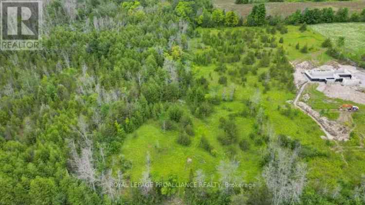 3.7 Acre Vacant Land Shannonville Build Your Dream Home