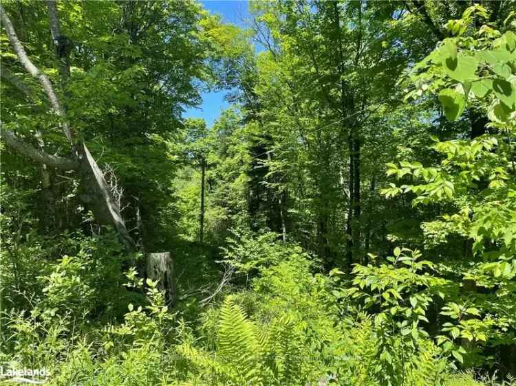 Land For Sale in null, Ontario