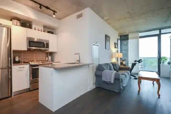 Bright 1 Bedroom Downtown Ottawa Apartment