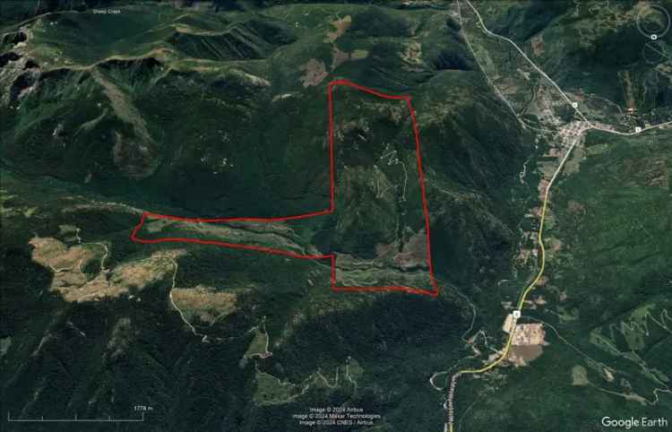 Large Trophy Wilderness Acreage with Conservancy Value - Salmo, BC