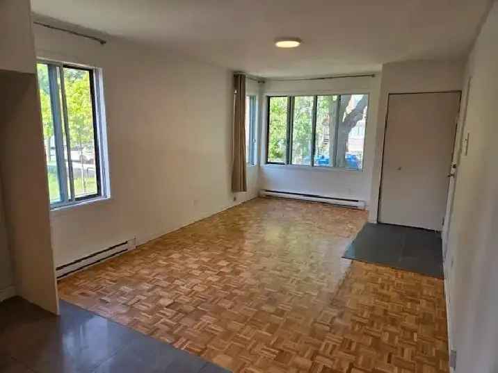Ville-Emard 2-Level Condo with Yard - Modern Renovated