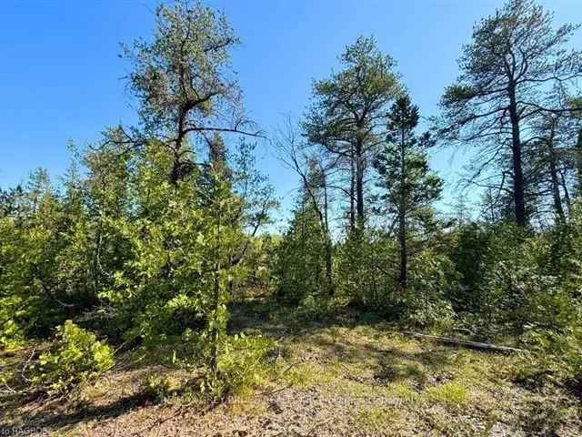 Land For Sale in Municipality of Northern Bruce Peninsula, Ontario