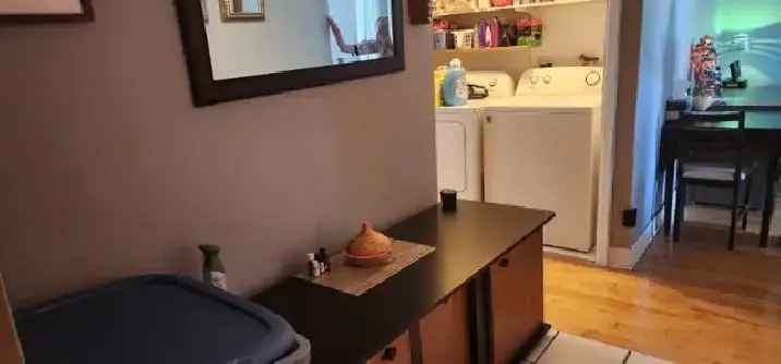 Montreal Fully Furnished 4 & 1/2 Apartment for Rent