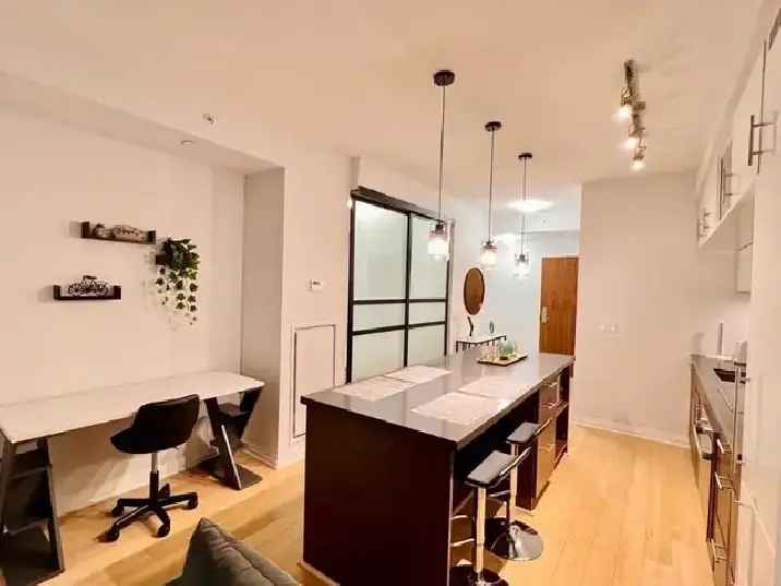 Furnished 2 BD   2 BA Condo for Rent Downtown Toronto / Jan 1st