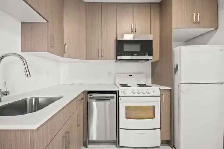 Rent Newly Renovated Apartment 1 Bed 1 Bath in Winnipeg with Great Features